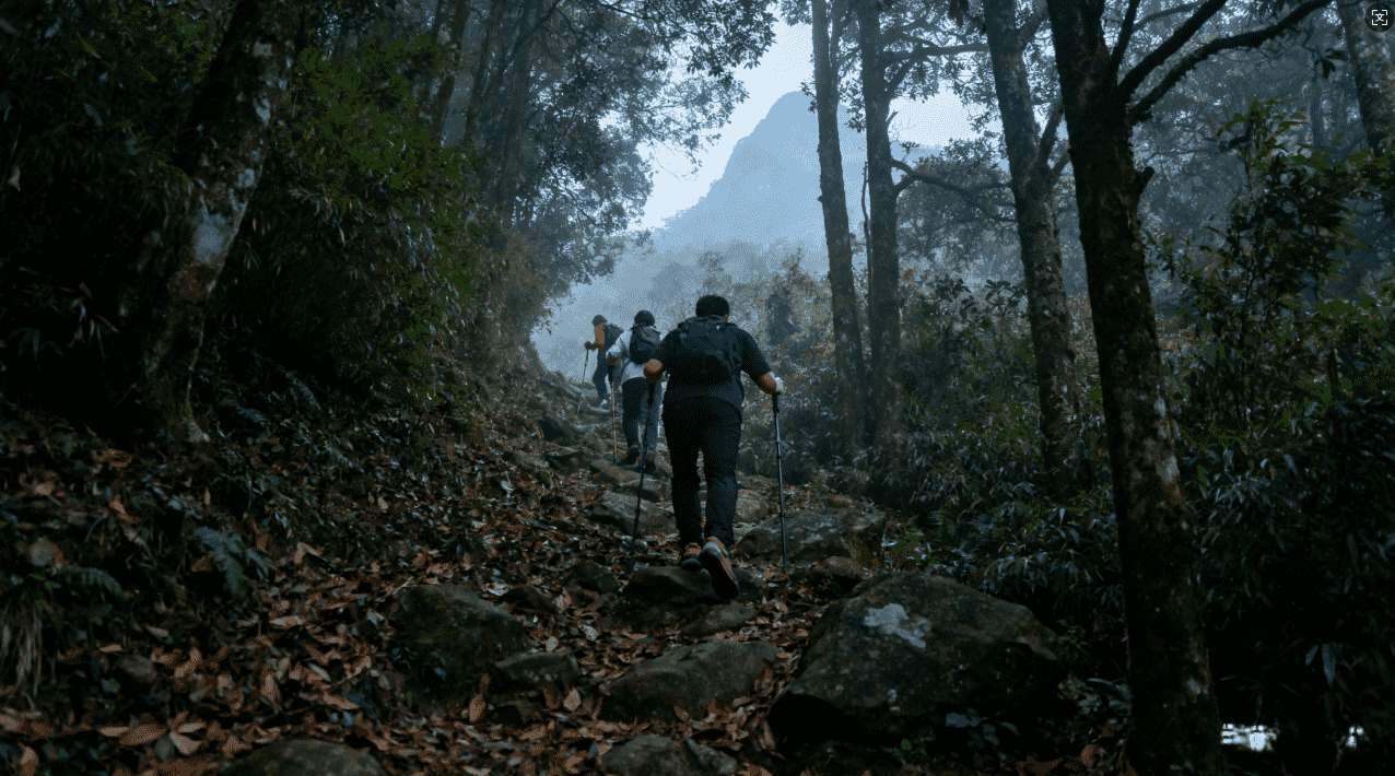 最新风驰浏览器加速器免费下载指南